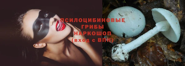прущие крисы Коряжма