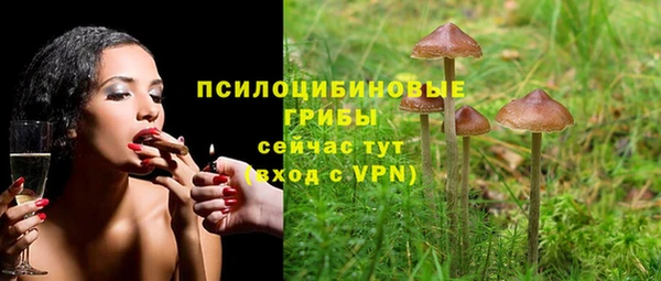 не бодяженный Красноперекопск