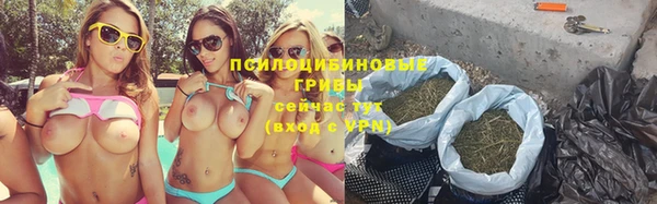 тгк Корсаков