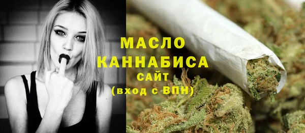 шишки Краснослободск